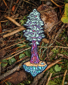 Sequoia Embroidered Patch